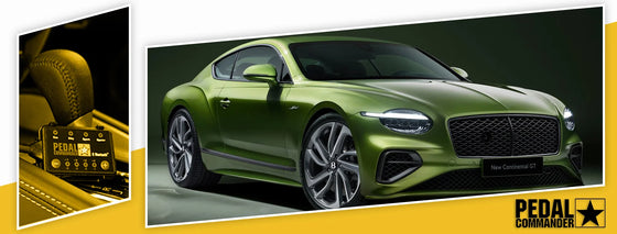 PC201 / Bentley / Continental GT / 4th Gen (2024+) / (4.0L Twin Turbo V8 High Performance Hybrid - 4.0L Twin Turbo V8 Ultra Performance Hybrid)