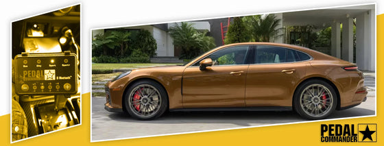 PC09 / Porsche / Panamera / 971 Facelift (2020+) / (3.0L EA839T Turbo V6 - 2.9L Twin Turbo V6 - 4.0L Twin Turbo V8 - 2.9L Híbrido Enchufable Twin Turbo V6 - 4.0L Híbrido Enchufable Twin Turbo V8)