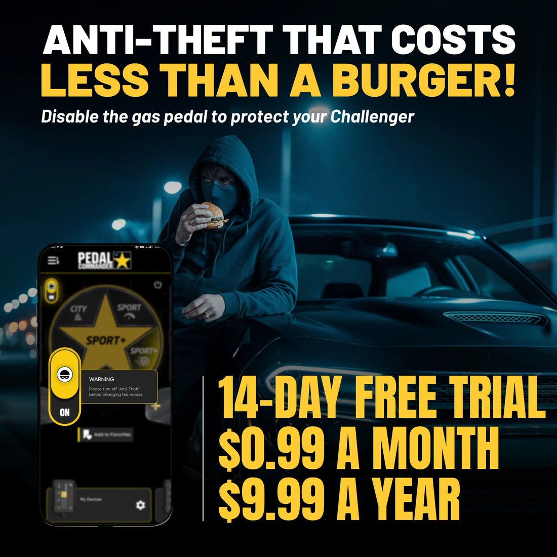 gallery-theft-Dodge-Challenger
