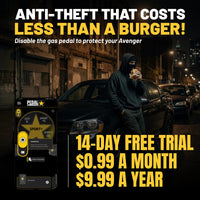 gallery-theft-avenger